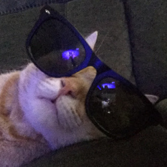 Meet your Posher, Jacob - Picture 1 of 1